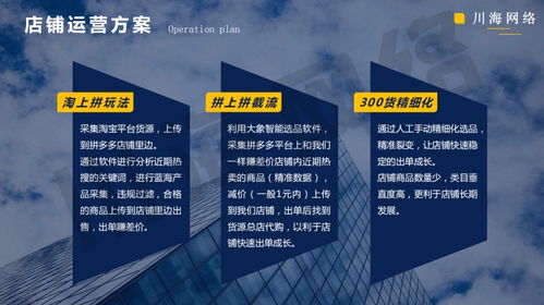 陜西拼上拼軟件貼牌 大象采集與精細(xì)化運(yùn)營(yíng)助力拼多多代運(yùn)營(yíng)新高度