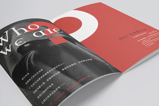 創(chuàng)新?tīng)I(yíng)銷(xiāo)，卓越傳播——XX公司廣告業(yè)務(wù)介紹